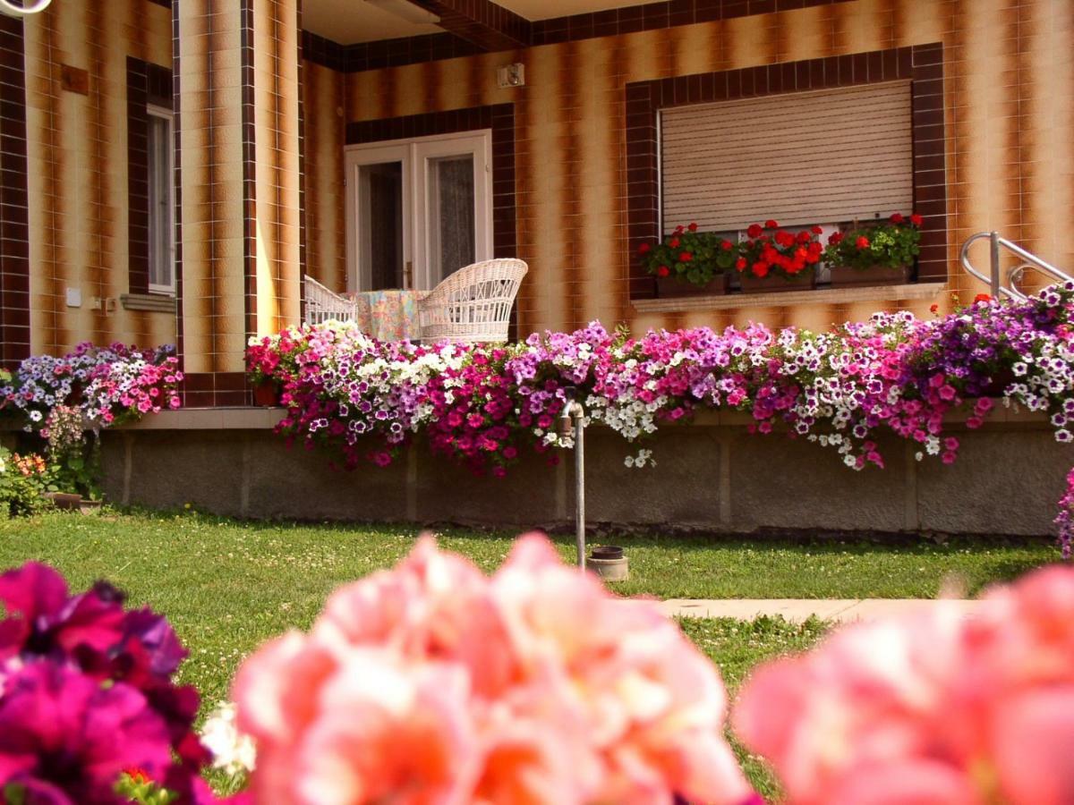 Amalia Apartment Gyula